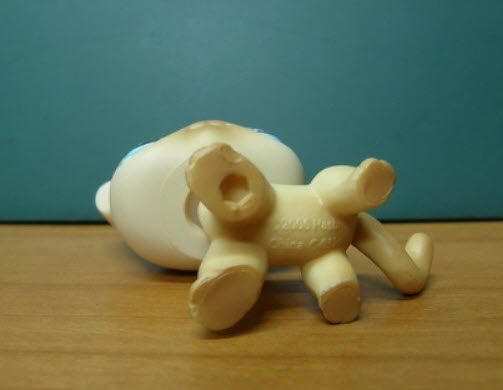 แมว Short Hair สีเหลืองครีม-แทน ตาสีฟ้า