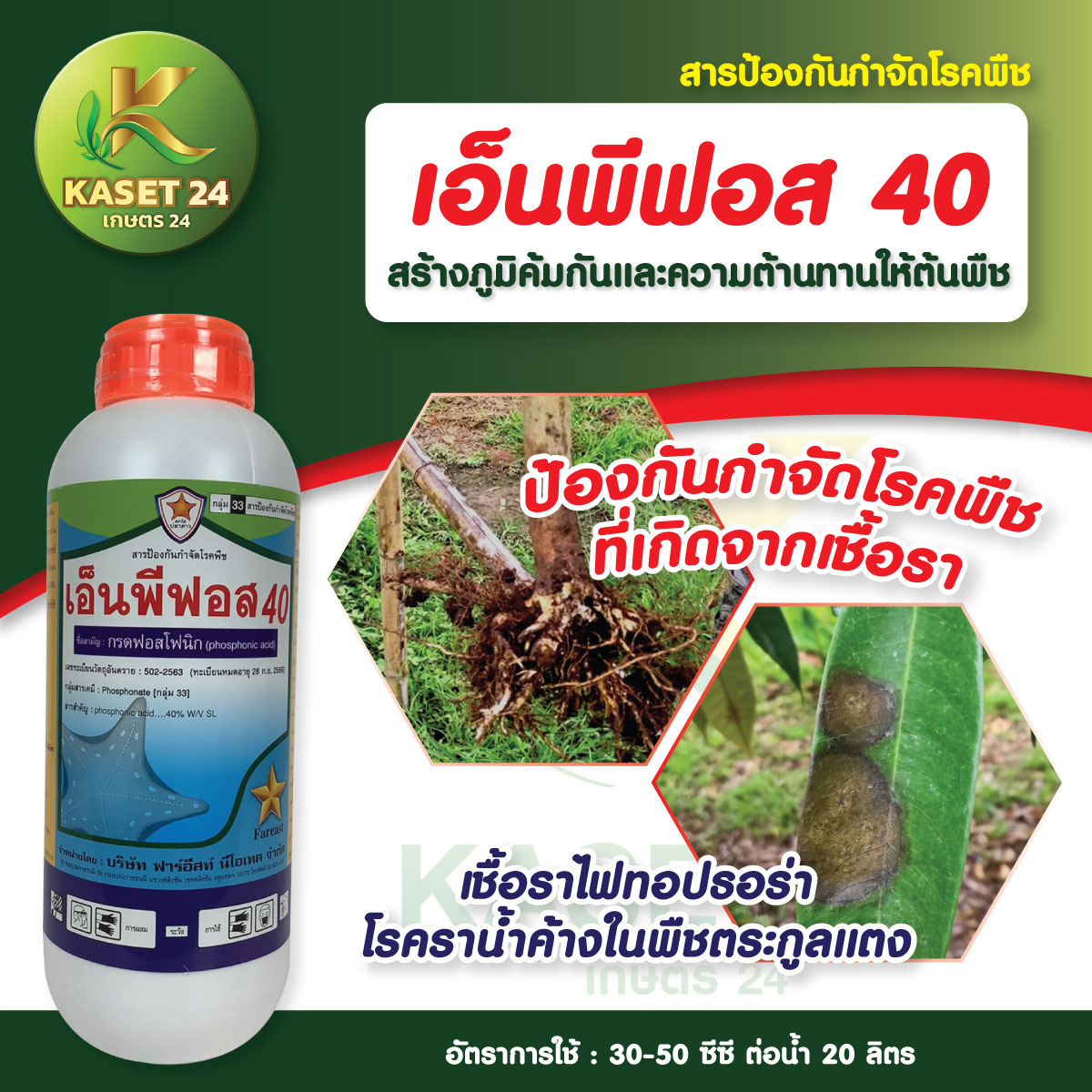 ยากำจัดเชื้อรา เอ็นพีฟอส 40 ฟอสโฟนิก แอซิด 40% กำจัดโรครากเน่า โคนเน่า ไฟทอปธอร่า ใบจุด ใบไหม้ (ขนาด 1 ลิตร) ส่งฟรีเก็บเงินปลายทาง (ไม่บวกเพิ่ม)