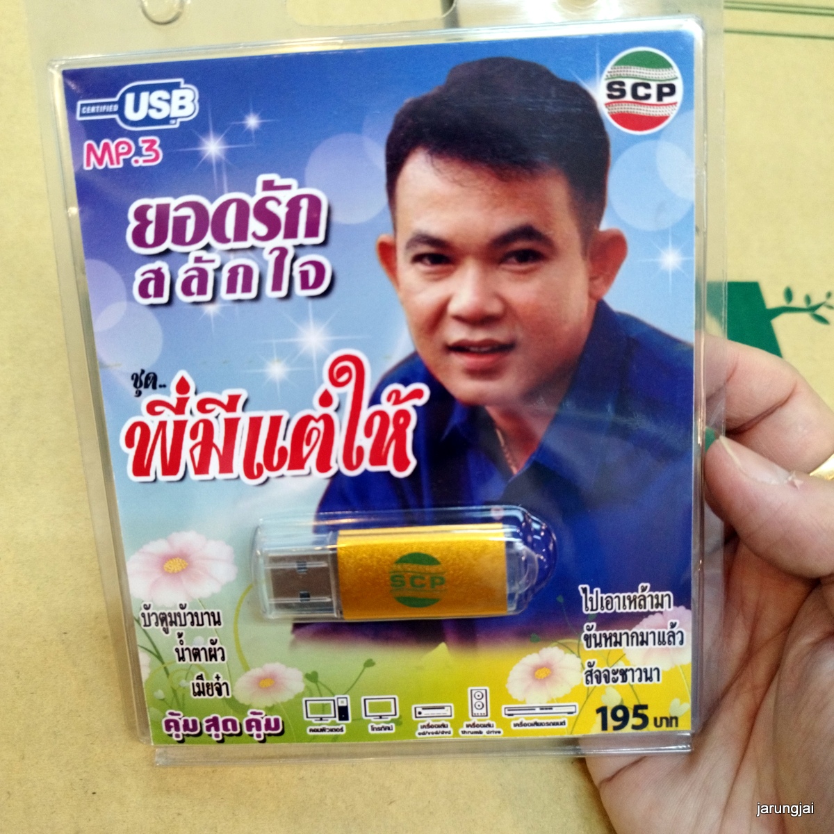 usb ยอดรัก สลักใจ พี่มีแต่ให้ บัวตูมบัวบาน น้ำตาผัว เสรี ทิพย์วรรณ ชาย เมืองสิงห์ รังษี เสรีชัย mp3 usb scp