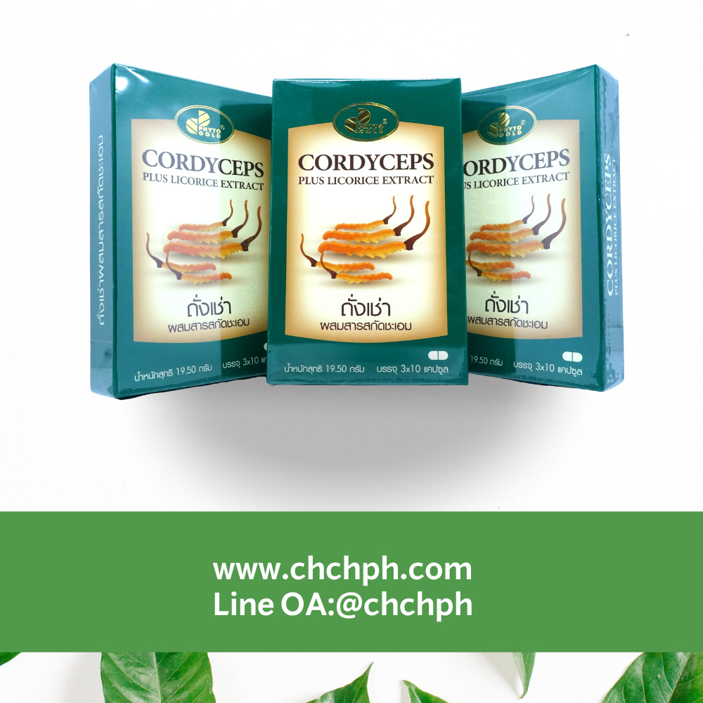 CORDYCEPS plus licorice extract ถังเช่า