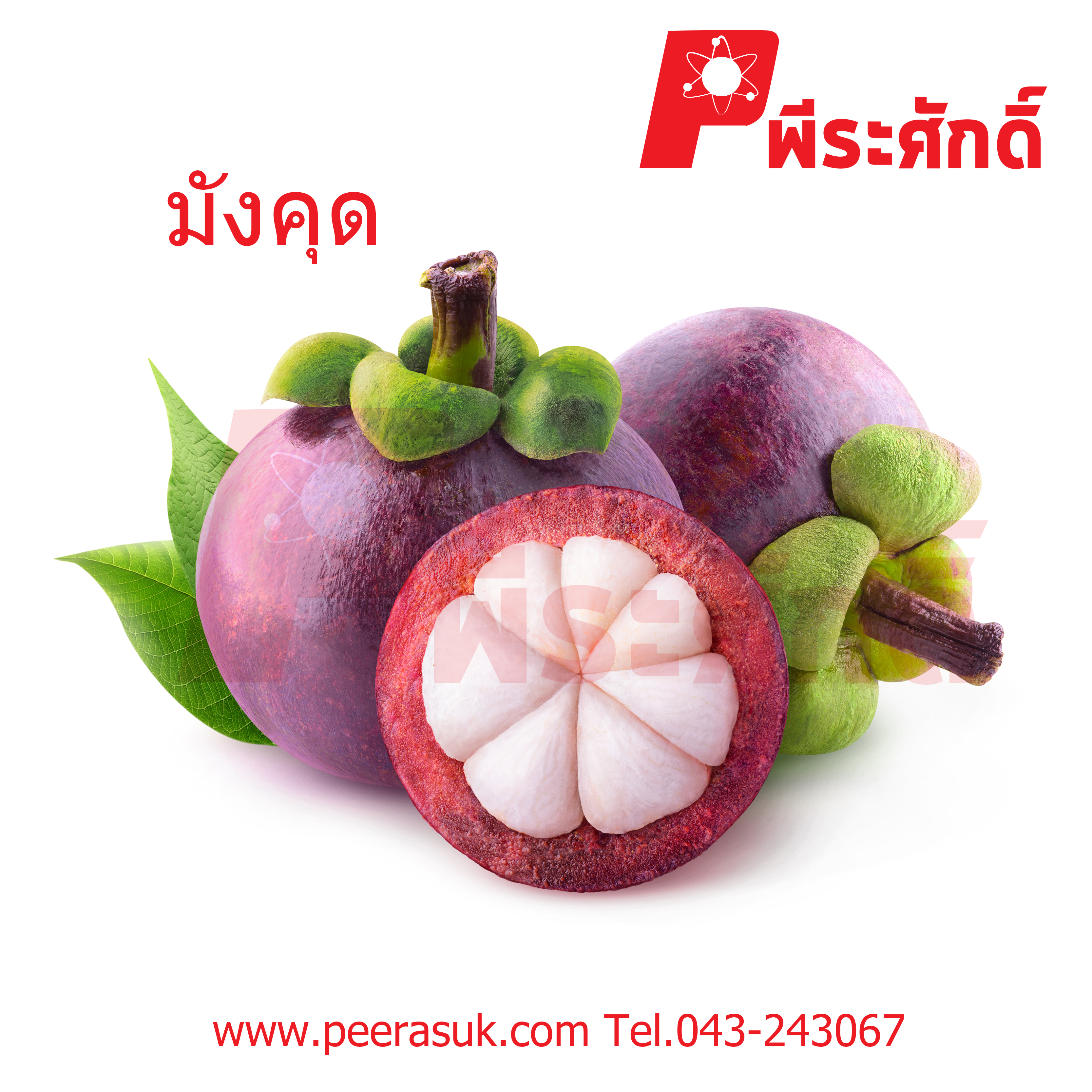 สารสกัดมังคุด 25 ml