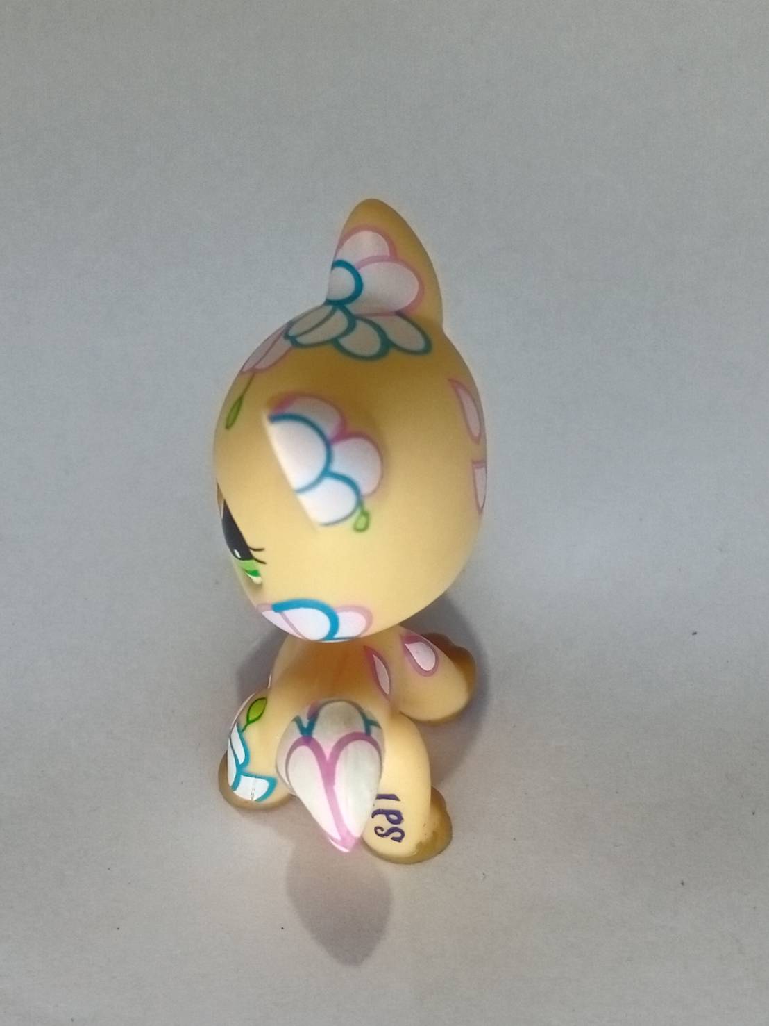 แมว Maine coon สีส้ม ตาสีเขียว tattoo