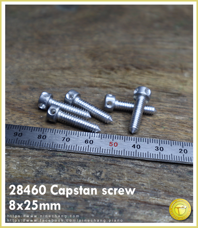 28460 Capstan screw 8x25mm