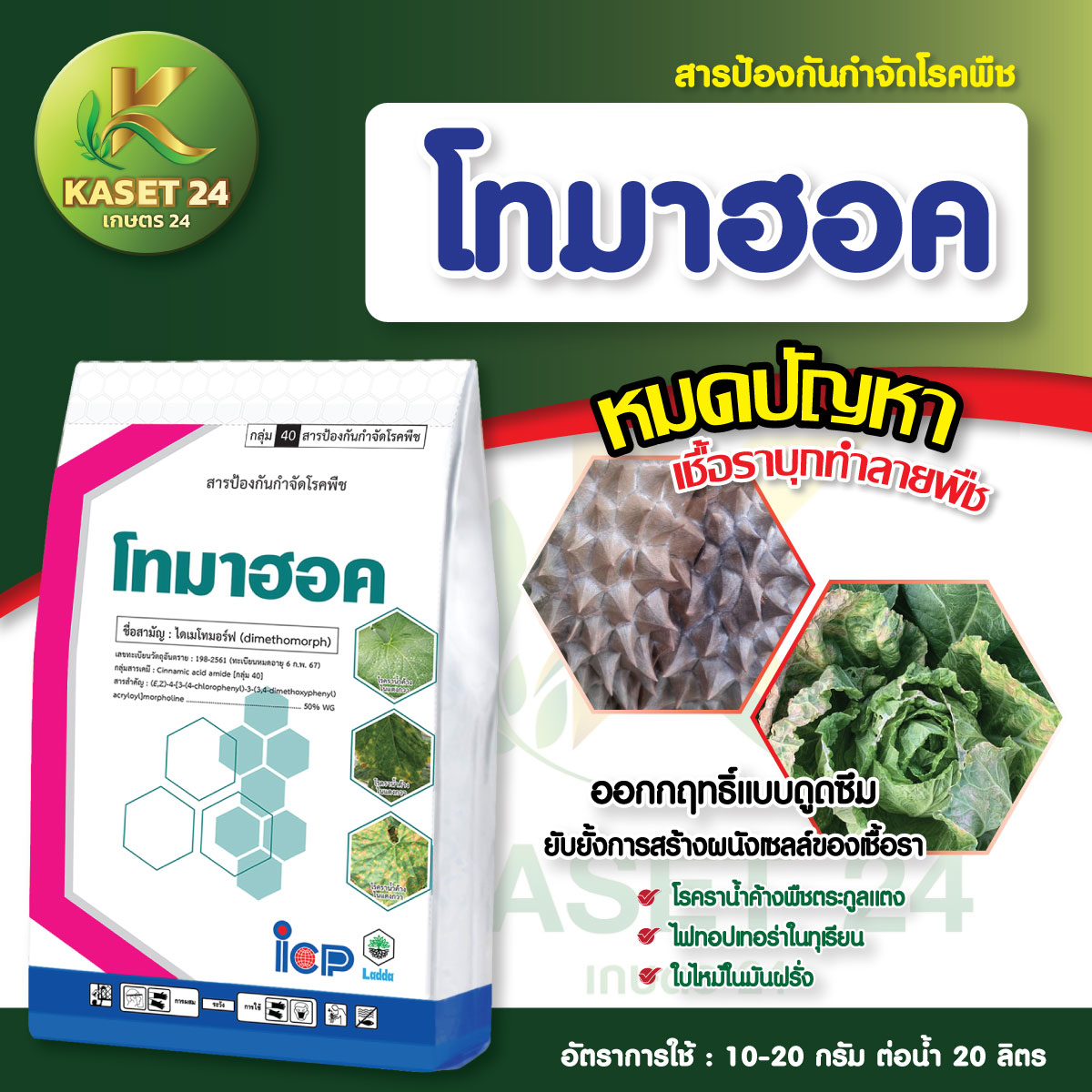 ยากำจัดเชื้อรา โทมาฮอค ไดเมโทมอร์ฟ 50% สารเดียวกับฟอรัม ป้องกันและกำจัด เชื้อไฟทอปธอร่า ฟิวซาเรียม (ขนาด500 กรัม) ส่งฟรีเก็บเงินปลายทาง (ไม่บวกเพิ่ม)