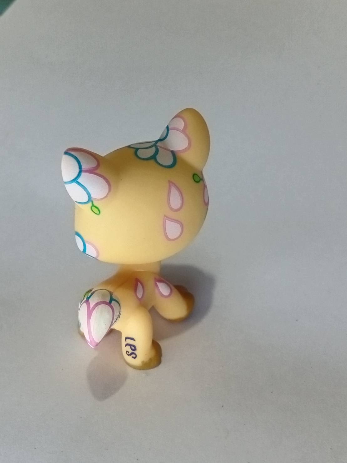 แมว Maine coon สีส้ม ตาสีเขียว tattoo