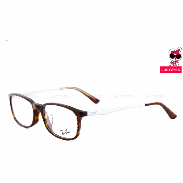 RayBan RX5313D 2012