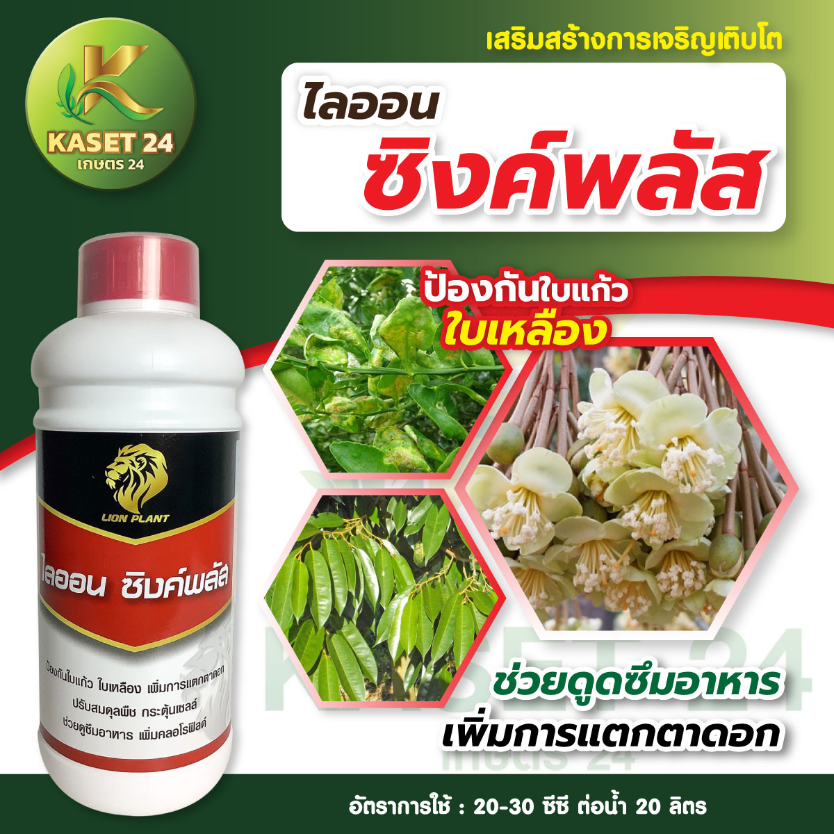 ไลออน ซิงค์พลัส ป้องกันใบแก้ว ใบเหลือง เพิ่มการแตกตาดอก ปรับสมดุดพืช กระตุ้นเซลล์ ช่วยดูดซึมอาหาร สร้างคลอโรฟิลด์ เร่งใบเขียว (ขนาด 1 ลิตร) ส่งฟรีเก็บเงินปลายทาง (ไม่บวกเพิ่ม)