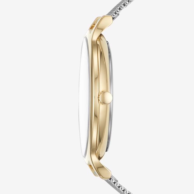 Skagen SKW2702 นาฬิกาผู้หญิง Skagen รุ่น SKW2702, Anita Two-Tone Steel-Mesh Mother of Pearl Quartz Women's Watch