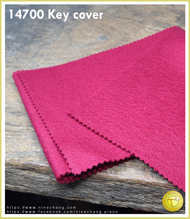 14700 Key cover