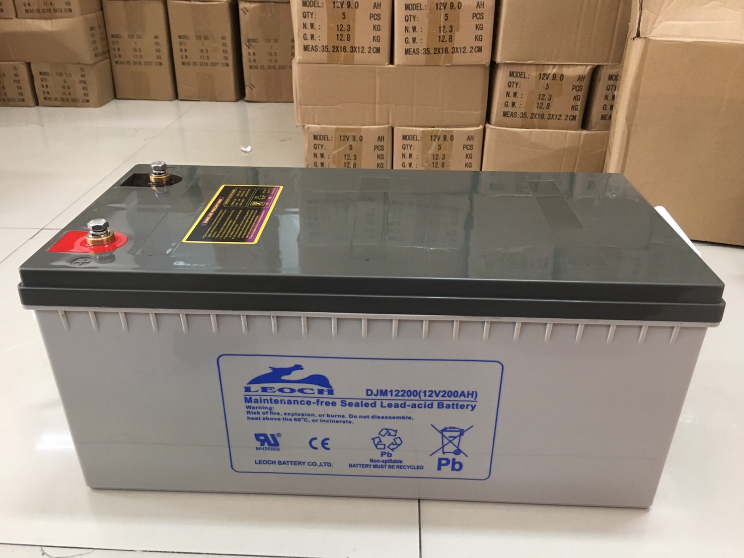 12V 200AH LEOCH