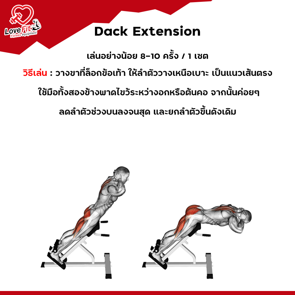 ดัมเบล,บาร์เบล,dumbbell,สร้างกล้ามหลัง,ท่าเล่นหลัง
