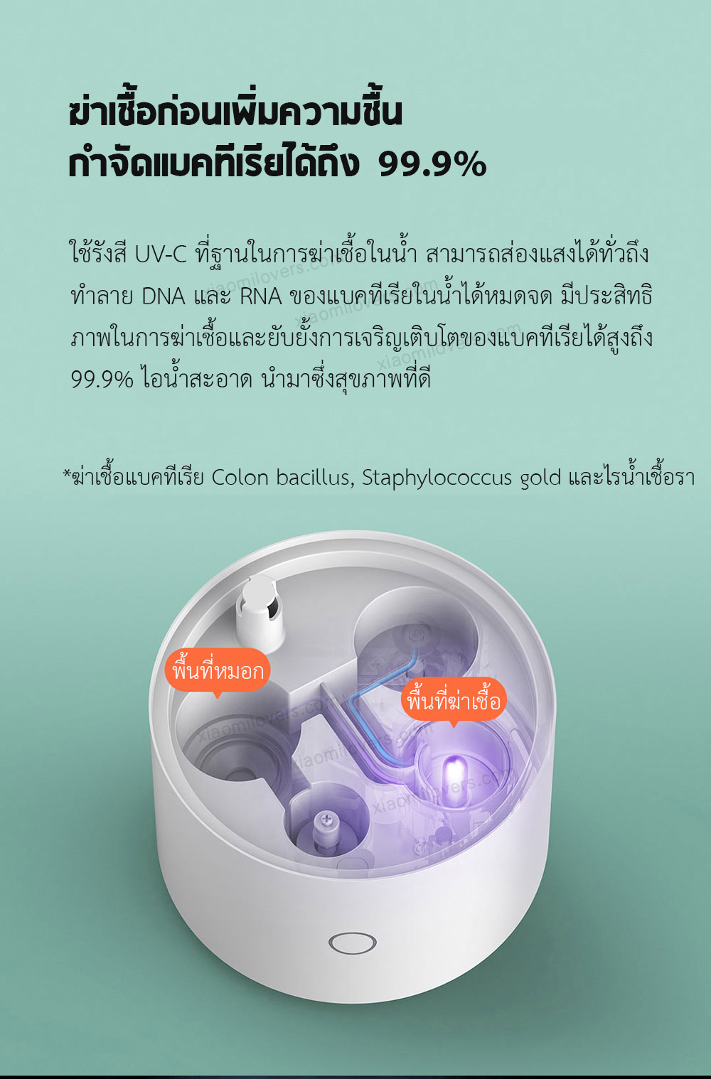 Xiaomi Smart Sterilization Humidifier S - เครื่องทำความชื้นอัจฉริยะ รุ่น S (4.5L)