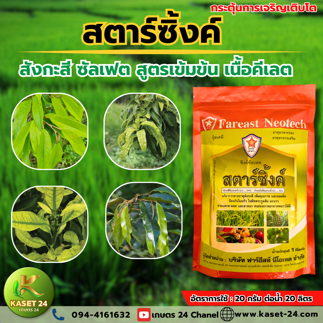 สตาร์ซิงค์ คีเลต (สังกะสี) ธาตุอาหารพืชคีเลตเข้มข้น เสริมการเจริญเติบโต แก้อากาศหนาวจัด ร้อนจัด ใบแก้ว ใบเหลือง ขาดสังกะสี (ขนาด 1 กิโลกรัม) ส่งฟรีเก็บเงินปลายทาง (ไม่บวกเพิ่ม) โปร 1 กิโลกรัม 250