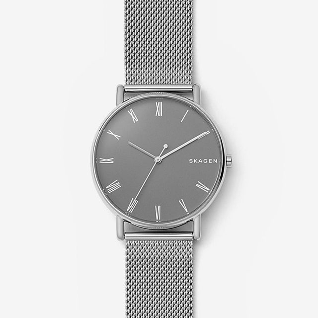 Skagen SKW6428 นาฬิกาผู้ชาย Signatur Steel-Mesh Men's Watch
