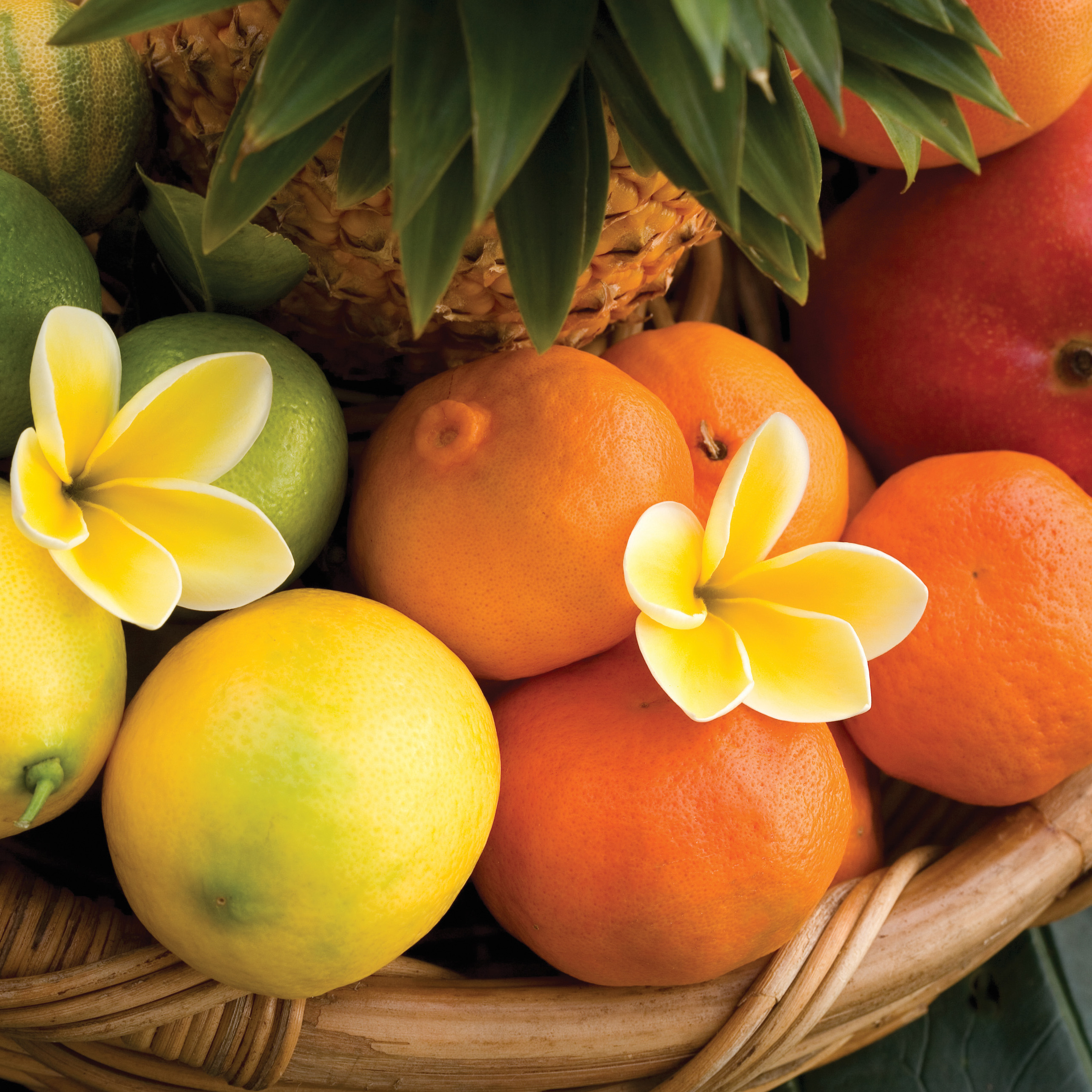 2.5oz Odor Eliminating Wax Melt Tropical Citrus