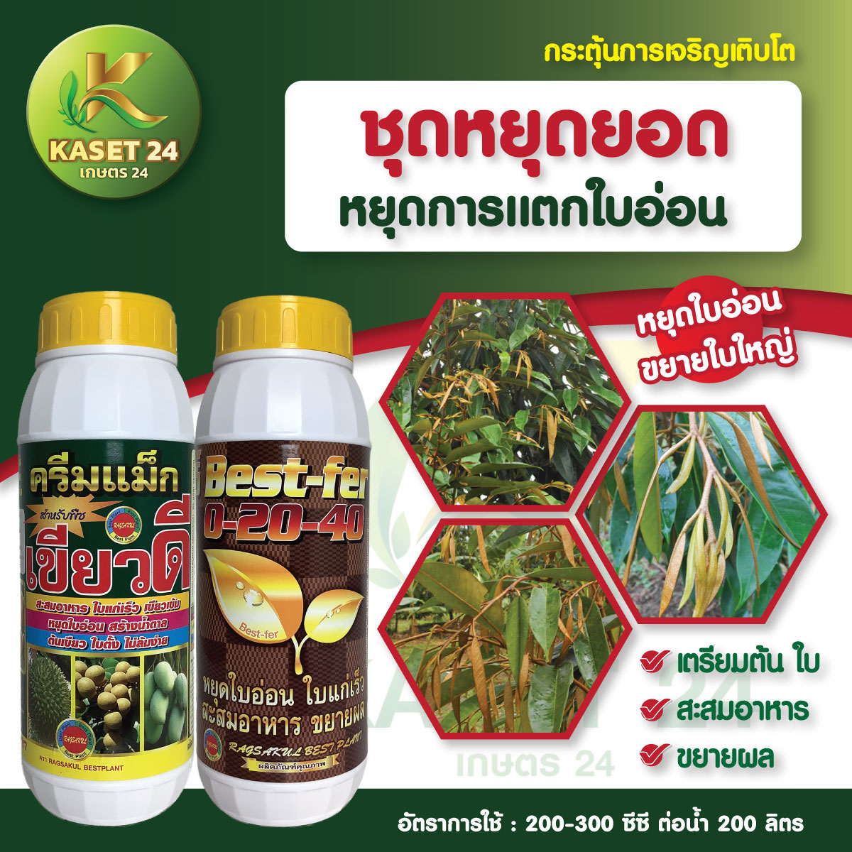 ชุดเร่งใบเเก่ หยุดใบอ่อน ใบอ่อนเเก่เร็ว หยุดการพัฒนาของใบอ่อน เเก่ทันที ลดการหลุดร่วงของดอกเเละผล ส่งฟรีเก็บเงินปลายทาง (ไม่บวกเพิ่ม)