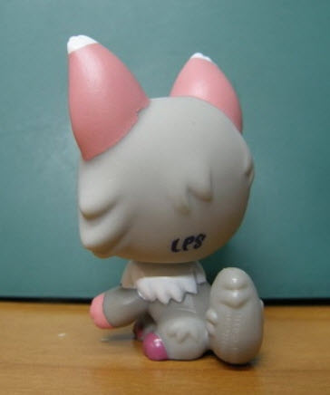 สนุนัขวูล์ฟ (Wolf dog) สีเทา ตาสีดำแซมม่วง #1921