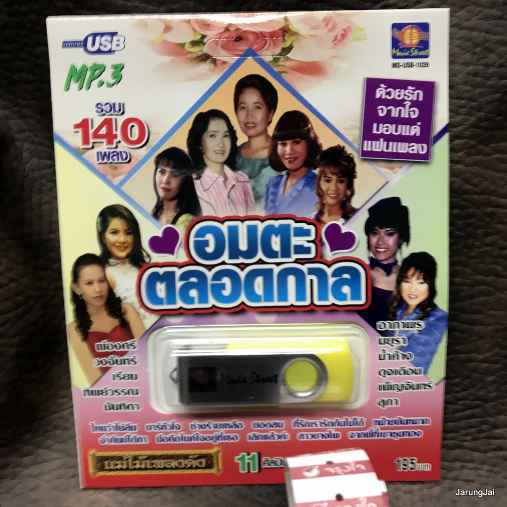 usb อมตะตลอดกาล รวม 140 เพลง ไหนว่าไม่ลืม ผ่องศรี วงจันทร์ เรียม ดาราน้อย ทิพย์วรรณ นันทิดา mp3 usb ms