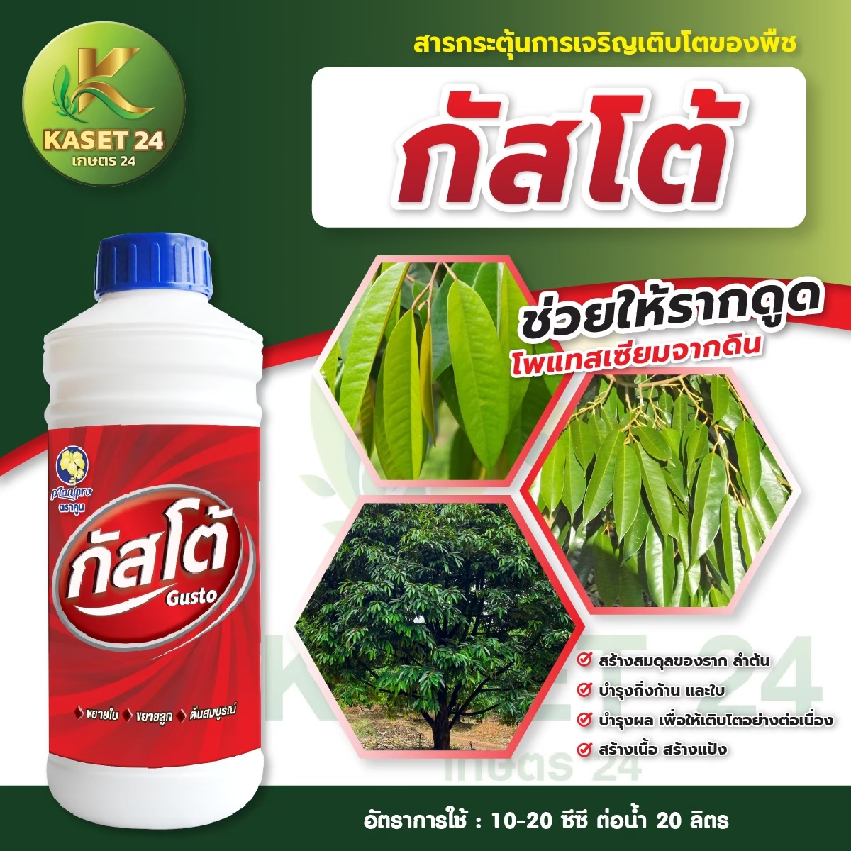 กัสโต บำรุงกิ่ง ใบ สร้างเนื้อ สร้างแป้ง บำรุงผล สร้างสมดุลราก และลำต้น