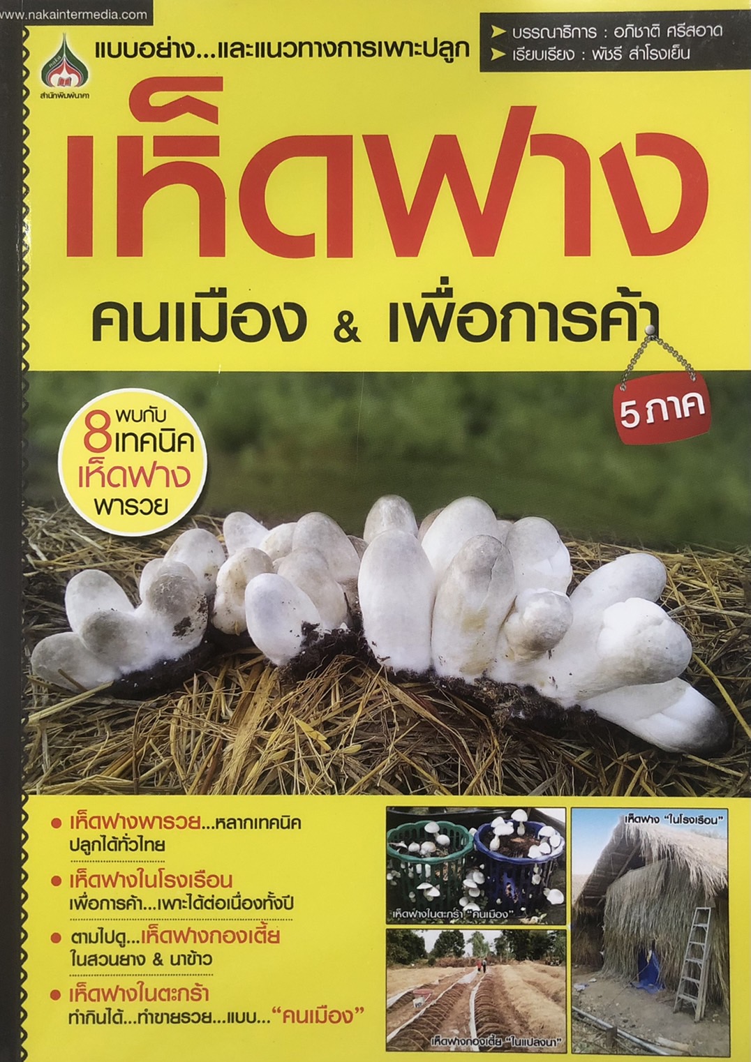 แบบอย่างและแนวทางการเพาะปลูก เห็ดฟางคนเมือง & เพื่อการค้า 5 ภาค