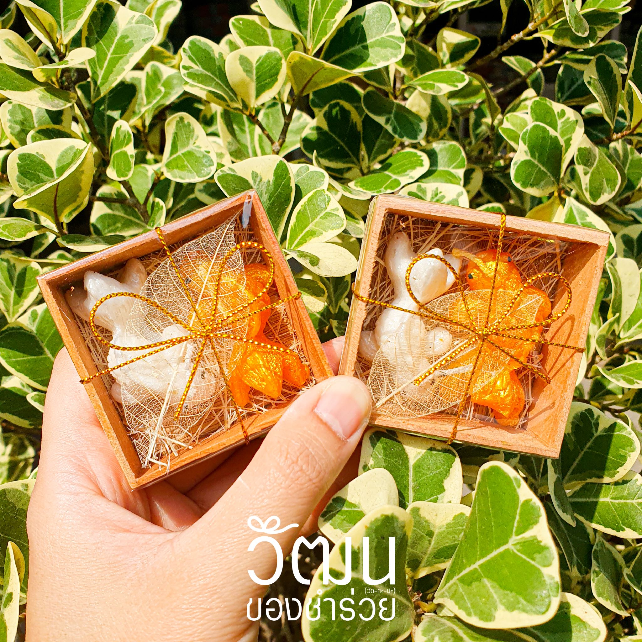 ของชำร่วย เทียนปลาเงินปลาทอง | แพ็กใส่กล่องไม้ ห่อถุงพลาสติ๊ก ผูกดิ้นทอง พร้อมสติ๊กเกอร์
