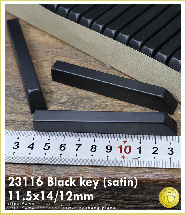 23116 Black key (satin)