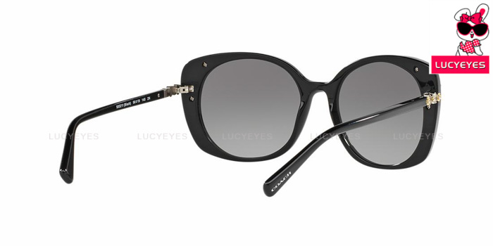 COACH HC8186BF 500211