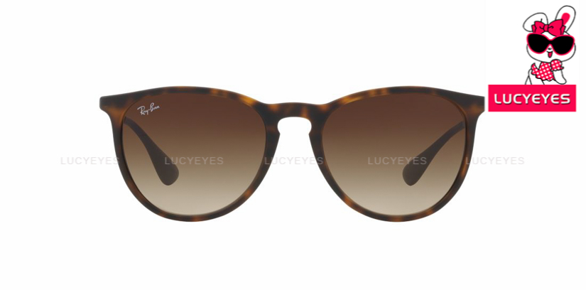 RayBan RB4171F 865/13 | ERIKA 2