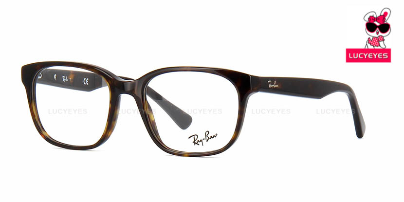 RayBan RX5340D 2012