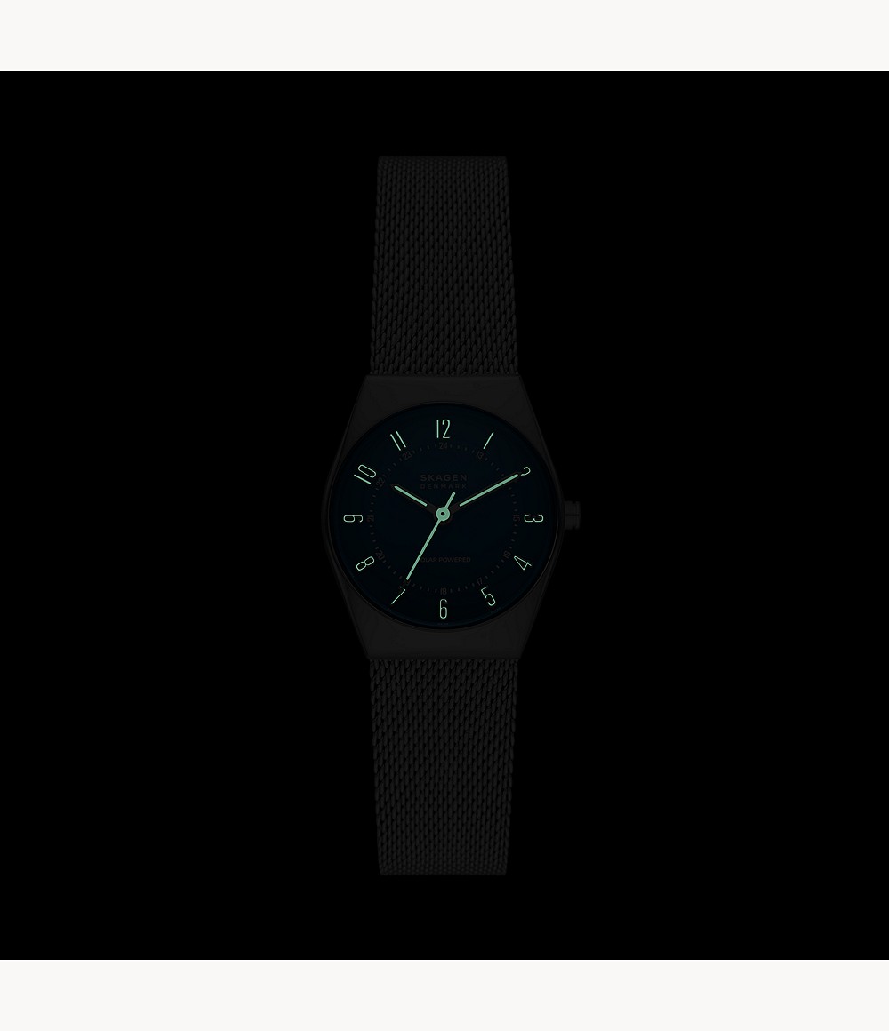 Skagen SKW3080 นาฬิกาผู้หญิง Grenen Lille Solar-Powered Stainless Steel Mesh Women's Watch
