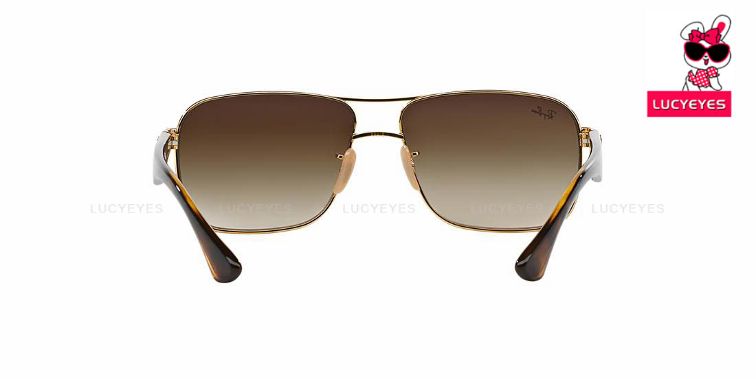 RayBan RB3516 004/13 3