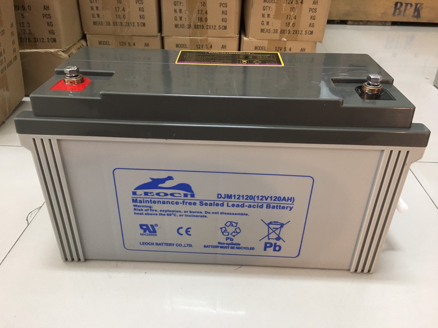12V 120AH LEOCH