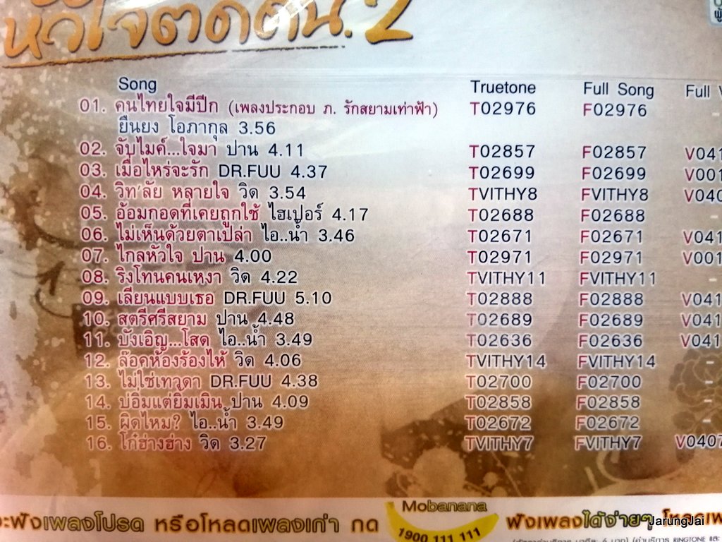 vcd หัวใจติดติน ชุด 2 รวม 16 เพลงฮิตทั้งโจ๊ะ คนไทยใจมีปีก ยืนยง จับไมค์ ใจมา ปาน karaoke vcd rs