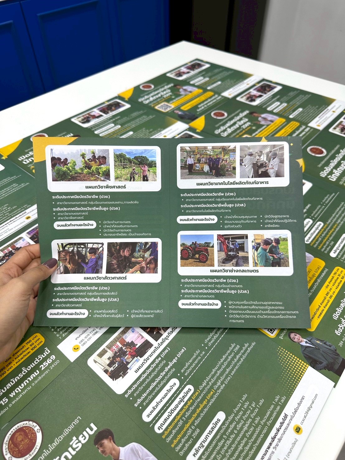 ผลงาน แผ่นพับ