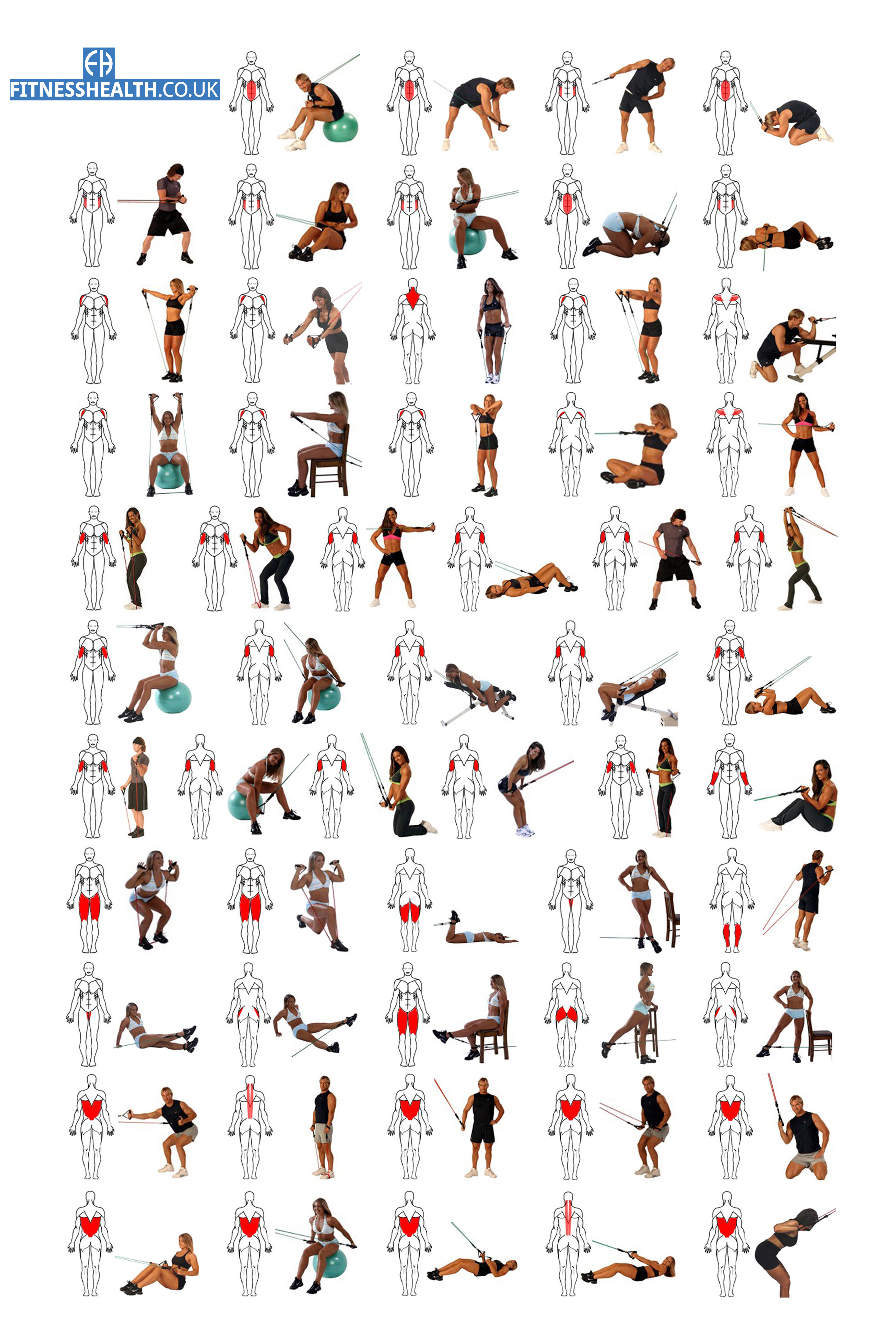 ยางยืดออกกำลังกาย Normal Strength Resistance Band