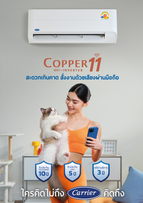 เครื่องปรับอากาศ CARRIER แบบติดผนัง ขนาด 25,200 BTU รุ่น 42TVEA028A (INVERTER) (COPPER 11)