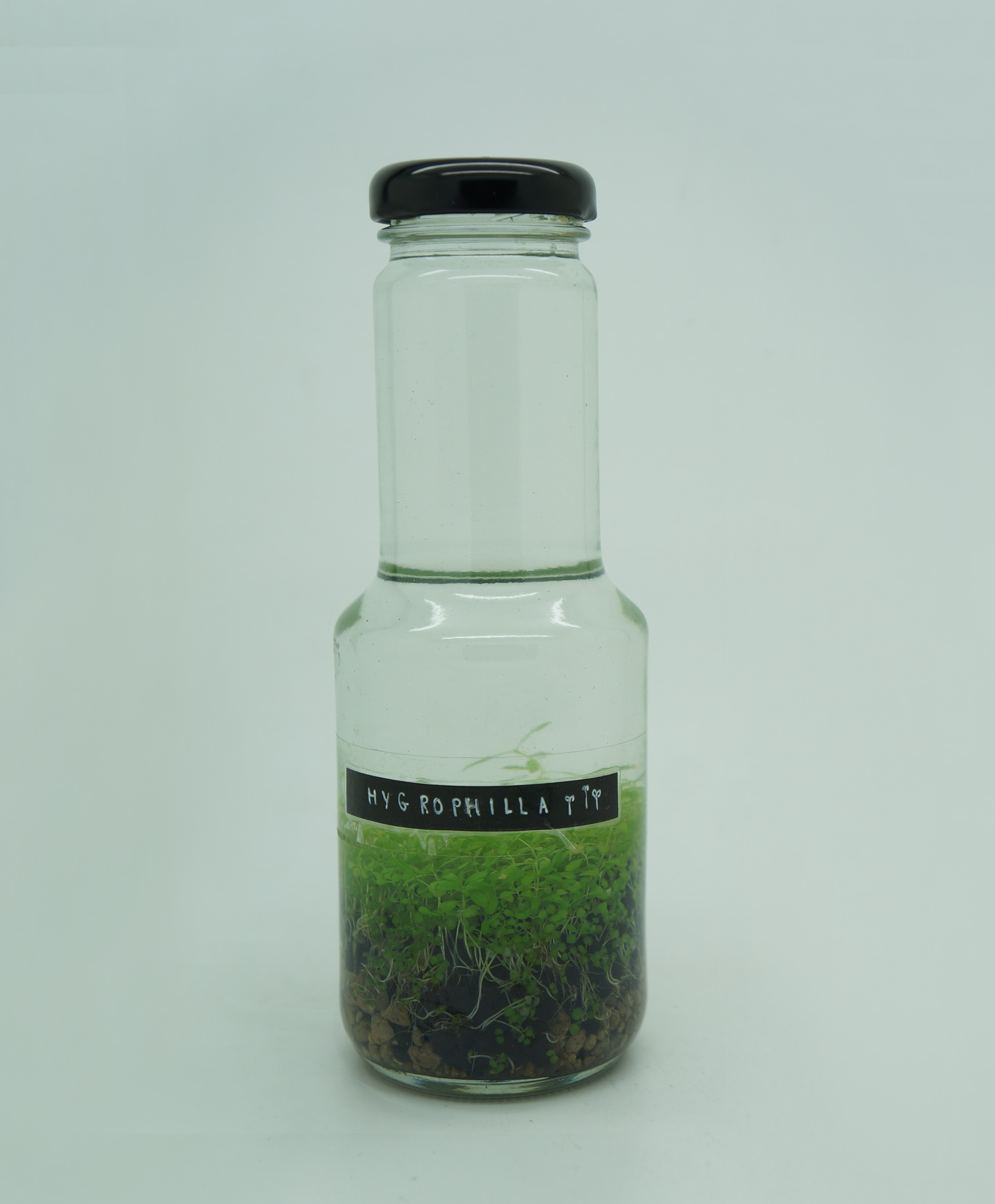 ขวดน้ำสลัด 250 ml. (ฝาแคปล็อค 38 มิล) สลัดคอยาว #943 @ 1 ชิ้น / หีบละ 78 ชิ้น