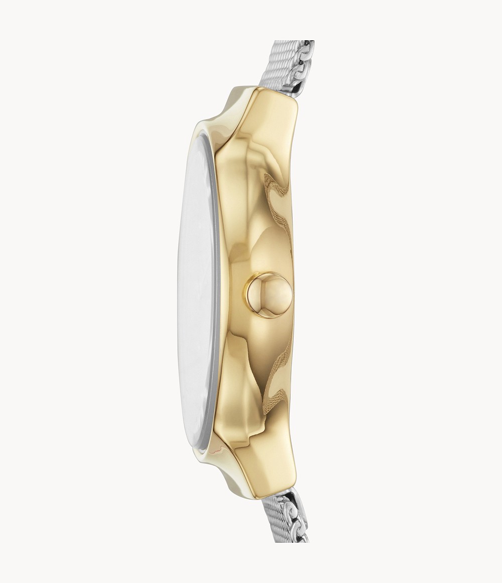 Skagen SKW2866 นาฬิกาผู้หญิง Freja Lille Two-Tone Steel Quartz Women's Watch