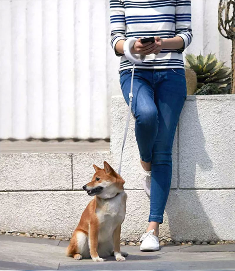 Xiaomi Moestar Dog Retractable Leash - สายจูงสุนัขแบบยืดหดได้ (2.6m.)