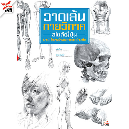 [DEXPRESS] วาดเส้นกายวิภาค -สไตล์ญี่ปุ่น- เจาะลึกโครงสร้างกระดูกและกล้ามเนื้อ
