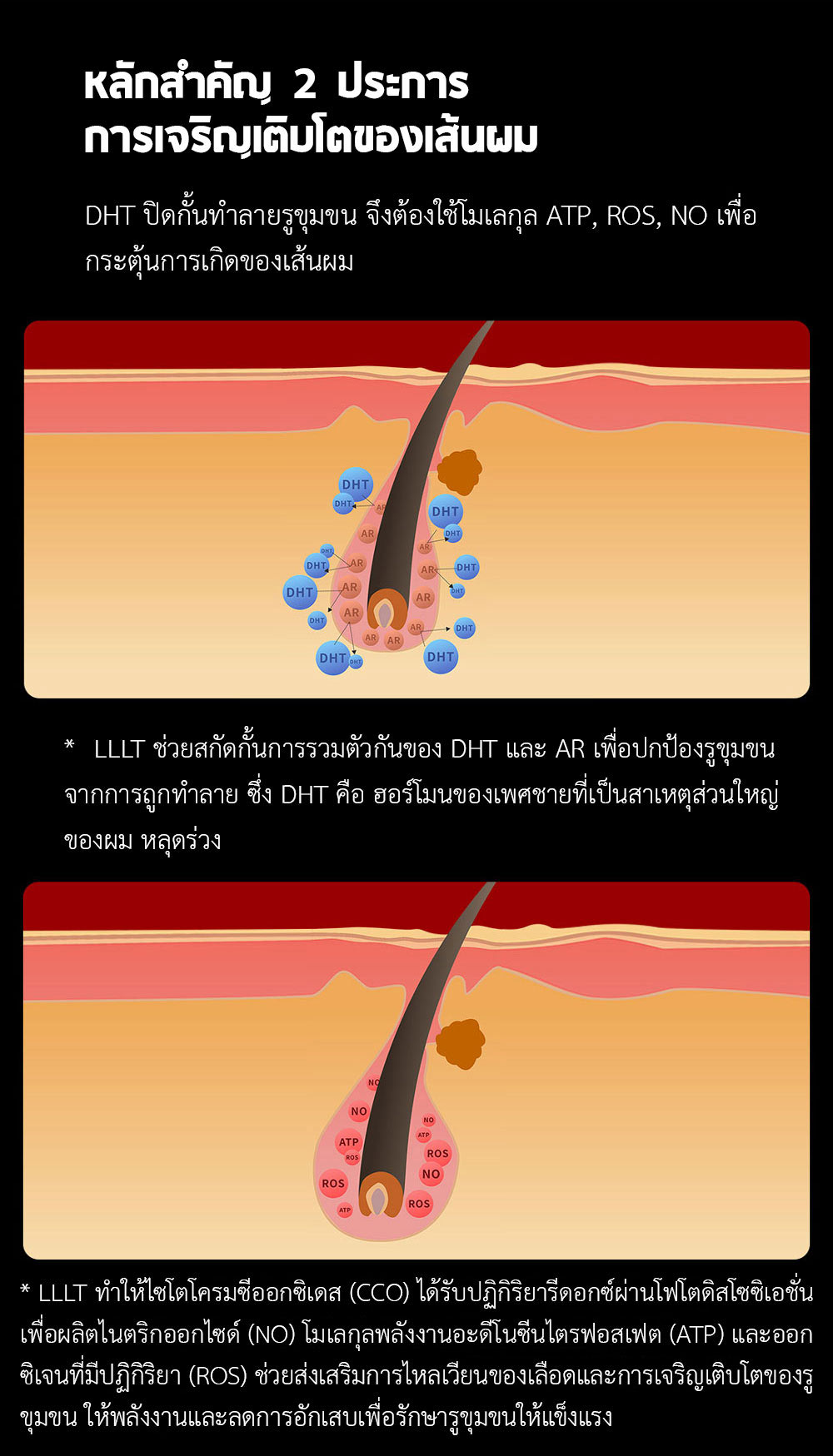 Xiaomi COSBEAUTY Peninsula Laser Hair Growth Cap - หมวกเลเซอร์ปลูกผม