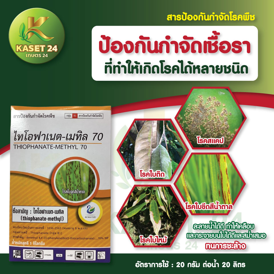 ยากำจัดเชื้อรา ไทโอฟาเนต เมทิล70% WP ป้องกันโรคใบไหม้ในข้าว โรคราแป้ง โรคราน้ำค้าง ยาดูดซึม (ขนาด 1 กิโลกรัม) ส่งฟรีเก็บเงินปลายทาง (ไม่บวกเพิ่ม)
