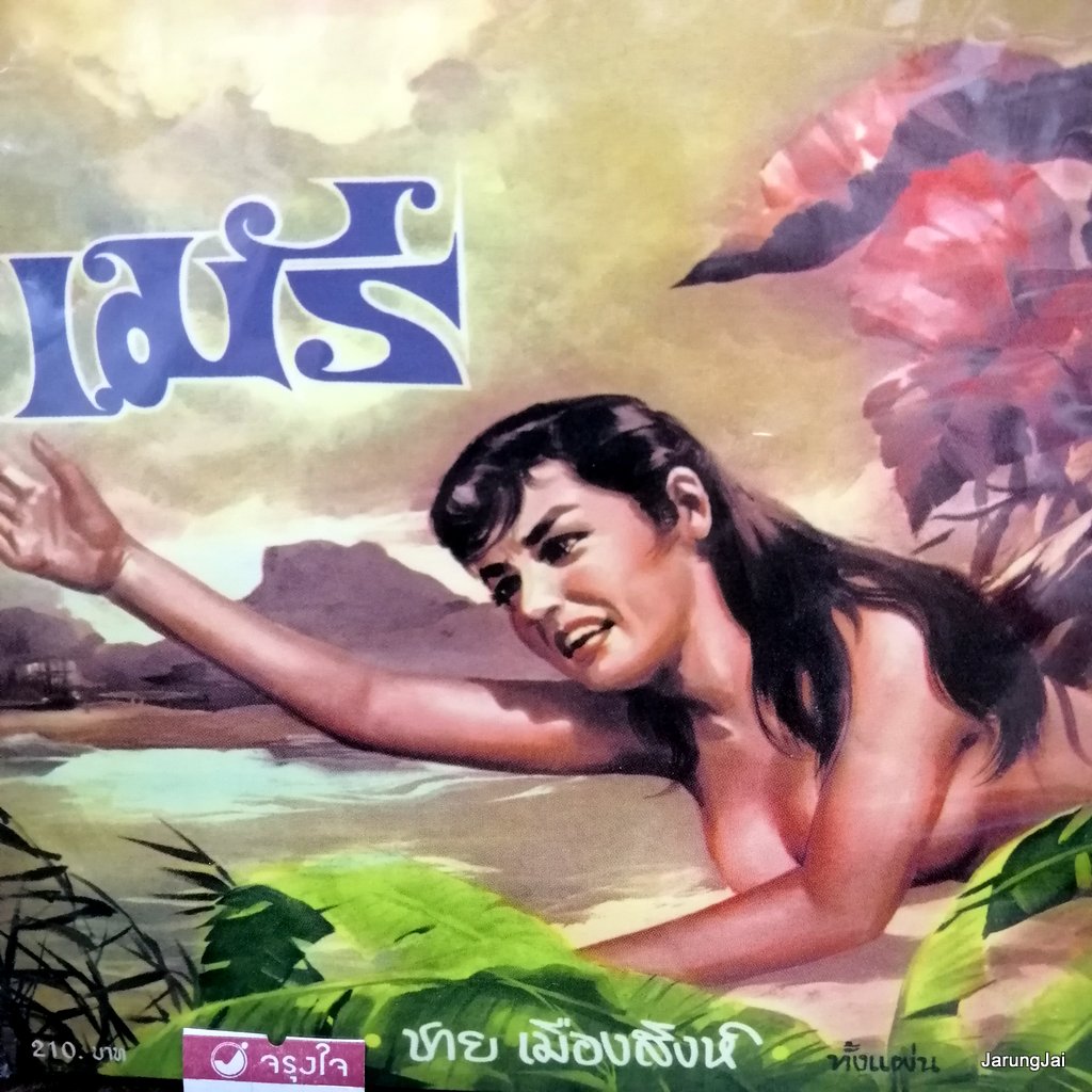 cd ชาย เมืองสิงห์ เมรี ซีดีน่าสะสม ชุด 55 ซีดีน่าสะสม audio cd แม่ไม้เพลงไทย