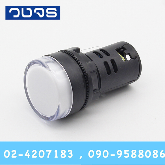 Pilot Lamp 22mm 24ACDC