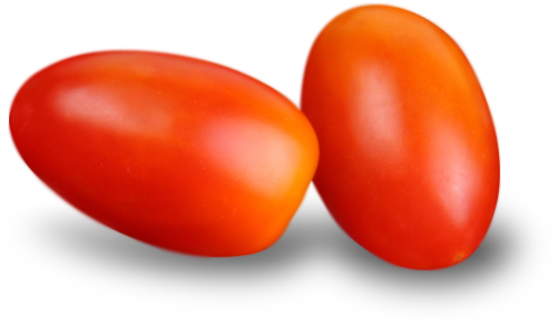 Dehydrated Tomato (มะเขือเทศอบแห้ง)
