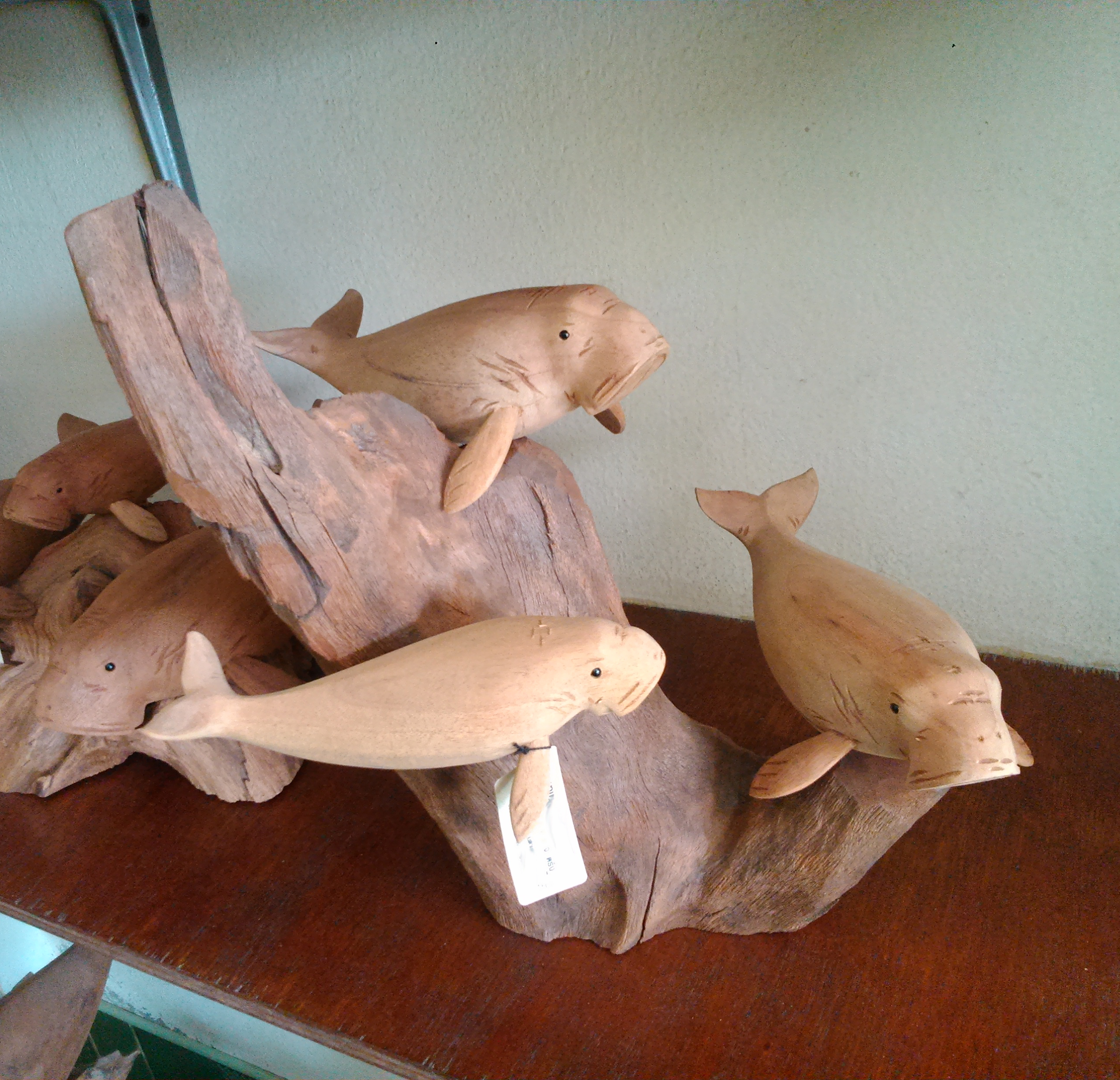 ฝูงปลาพะยูน ไม้เทพทาโร