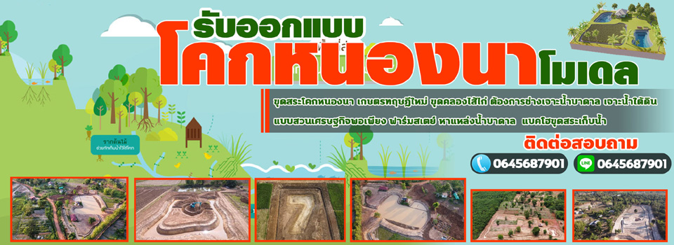 ขุดสระ