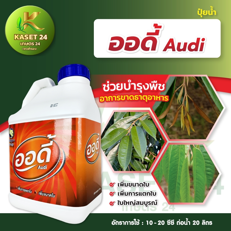 ออดี้ แกลลลอน