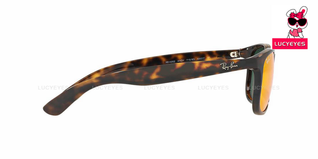RayBan RB4202F 710/6S ANDY 4