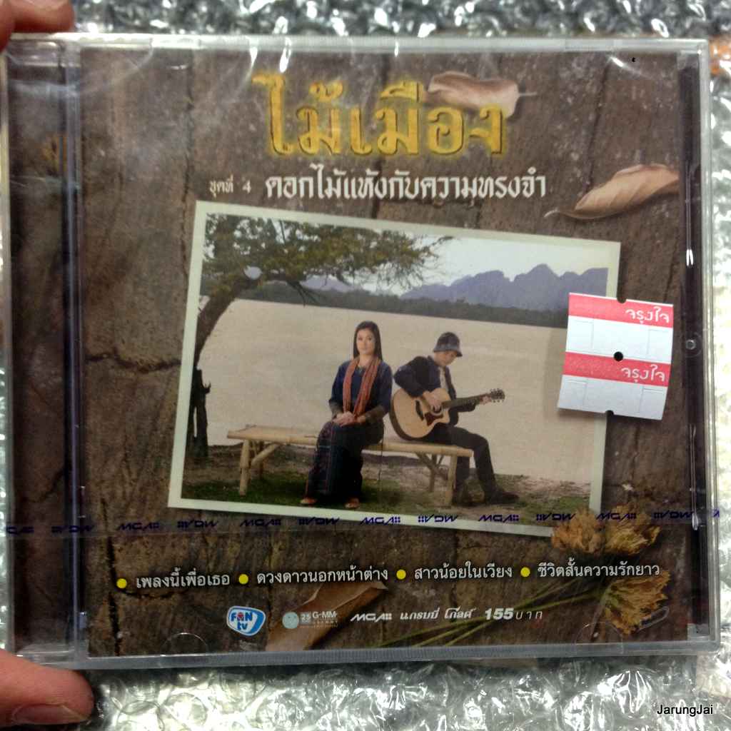 cd mga ไม้เมือง ชุด 4 ดอกไม้แห้งกับความทรงจำ